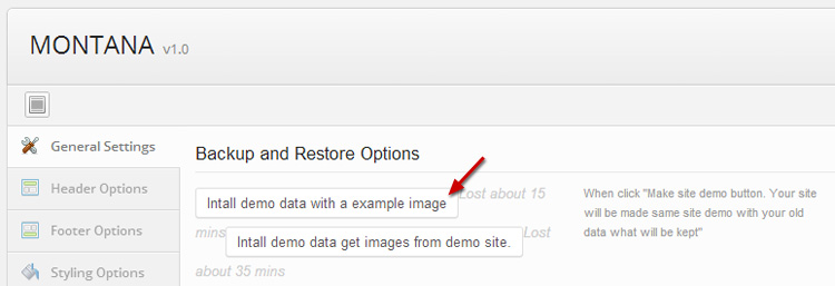 Options to install Montana demo data